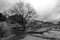 Yangshuo, China. Li River