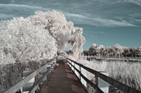 Lake Washington IR Melbourne Florida
